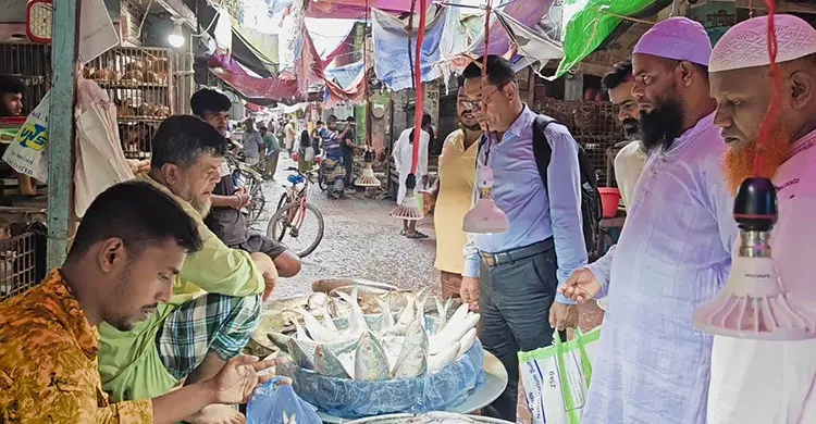 ভরা মৌসুমেও মিলছে না ইলিশ, দাম আকাশচুম্বী