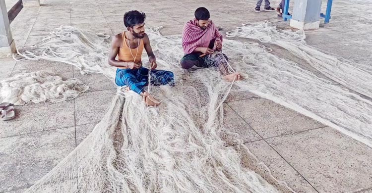 কাল উঠছে নিষেধাজ্ঞা, নতুন আশায় পিরোজপুরের জেলেরা