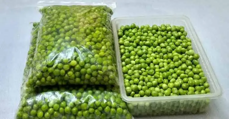 শীতে তাজা মটরশুঁটি সংরক্ষণ করার সহজ উপায়