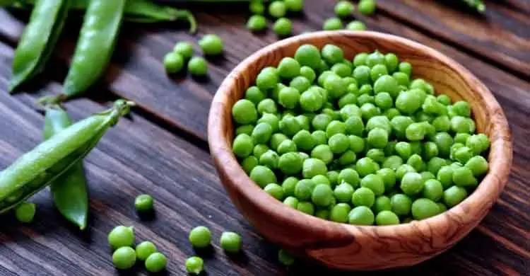 শীতে তাজা মটরশুঁটি সংরক্ষণ করার সহজ উপায়