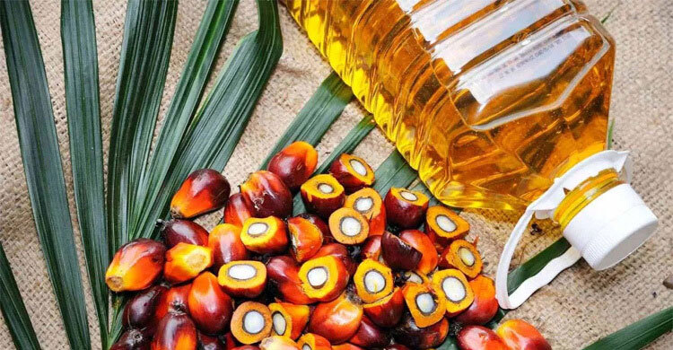 লিটারে ১৯ টাকা কমলো পাম অয়েলের দাম