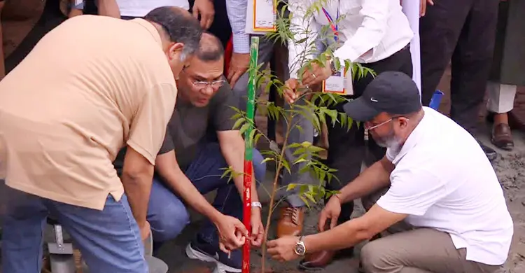 নিম-আমড়া গাছের চারা লাগিয়ে বৃক্ষরোপণ উদ্বোধন করলেন প্রধানমন্ত্রী