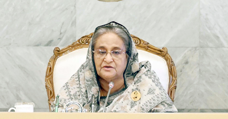 ডিজিটাল বাংলাদেশের সমালোচনাকারীরাই বেশি সুবিধা নিচ্ছে