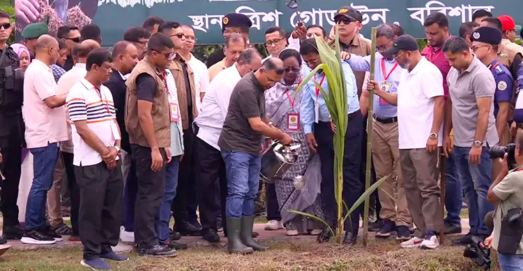 নিজেদের পরিবেশ নিজেদেরই রক্ষা করতে হবে: প্রধানমন্ত্রী