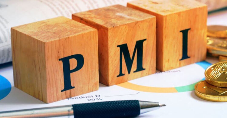 অর্থনীতির সম্প্রসারণে গতি, পিএমআই সূচক বেড়ে ৬১.৮