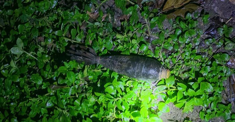 বালু উত্তোলনের সময় উঠে এলো পরিত্যক্ত মর্টার শেল