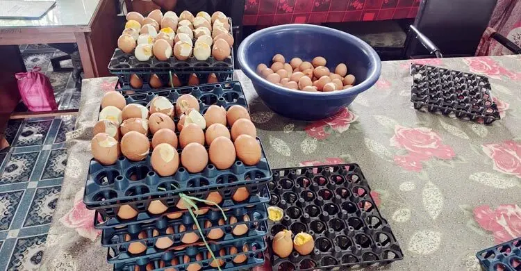 চাঁদপুরে মিড-ডে মিলে পচা ডিম