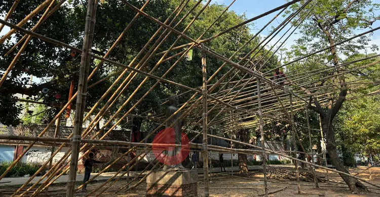 বর্ষবরণে প্রস্তুত ঢাবি, বৈশাখী শোভাযাত্রা হবে অনন্য