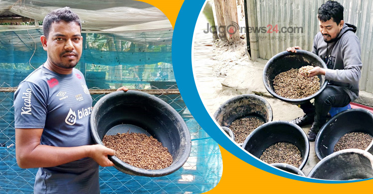 পোকা চাষে ভাগ্যবদল শিমুলের, মাসে আয় ২ লাখ