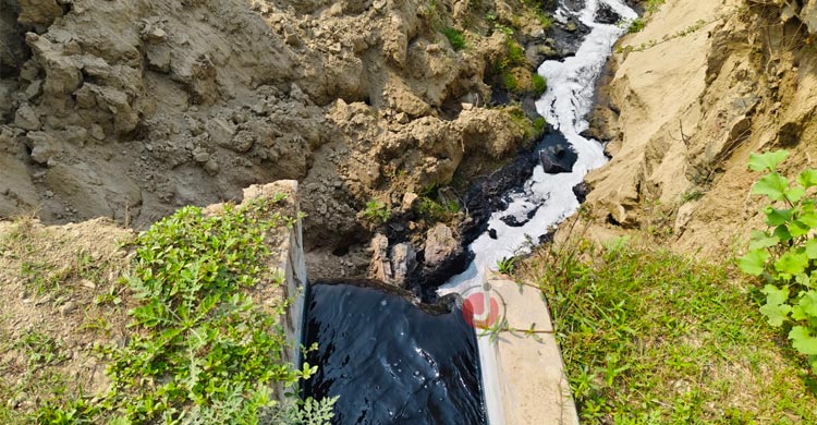 রঙের বিষে নীল হচ্ছে গড়াই, স্বাস্থ্যঝুঁকিতে শ্রমিকরা