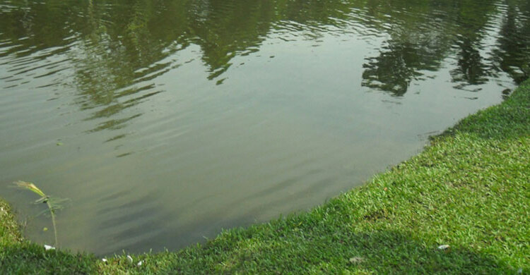 পুকুরে গোসল করতে নেমে লাশ হলো দুই শিশু