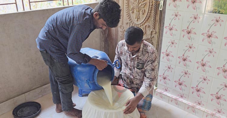 জিআই সনদে পনিরের কদর বাড়ছে