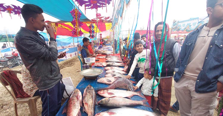 পোড়াদহ মেলার আকর্ষণ &lsquo;পাখি মাছ&rsquo;