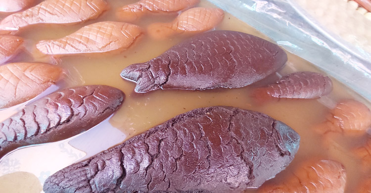 পোড়াদহ মেলার আকর্ষণ &lsquo;পাখি মাছ&rsquo;