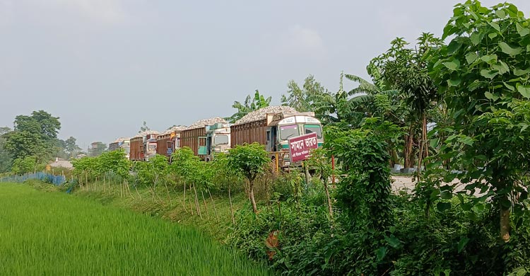 সেতু-ইমিগ্রেশনে আটকা সোনাহাট স্থলবন্দরের অগ্রযাত্রা