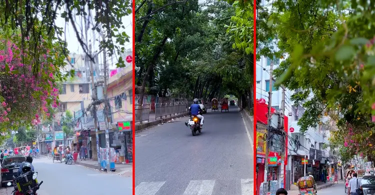 রাজধানীর বুকে এক জীবন্ত ইতিহাসের মানচিত্র মোহাম্মদপুর