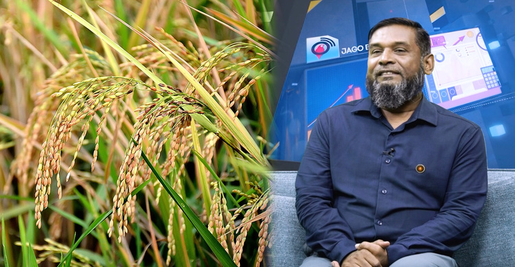 কৃষি খাতে নকল বন্ধ করা গেলে অর্থনীতিতে যোগ হবে ৫০০০ কোটি টাকা