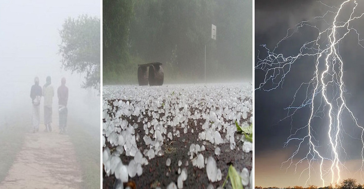 শীতের সর্বনাশা থাবা, ফেব্রুয়ারিতে তীব্র শৈত্যপ্রবাহের সতর্কতা