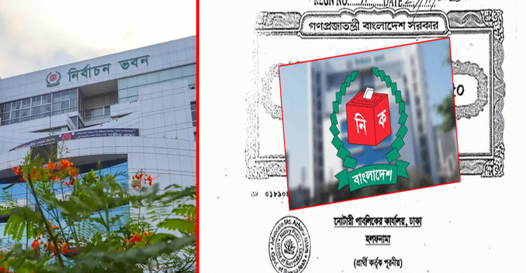 হলফনামার তথ্য যাচাই হয় কীভাবে? চ্যালেঞ্জ কোথায়?