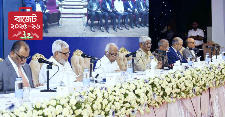 Budget 2025–26 realistic, fully implementable, says Wahiduddin