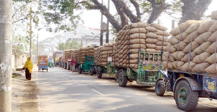 লক্ষ্যমাত্রার চেয়ে আলু উৎপাদন বেশি, সংরক্ষণ নিয়ে বিপাকে কৃষক