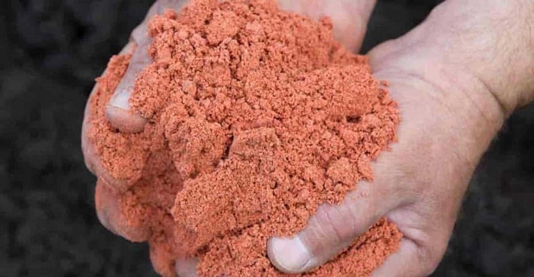 বাংলাদেশকে বিনামূল্যে ৩০ হাজার টন সার দিচ্ছে রাশিয়া