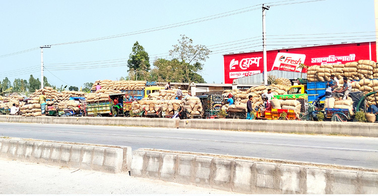 হিমাগারে আলু রাখতে না পেরে ফিরে যাচ্ছেন কৃষকরা