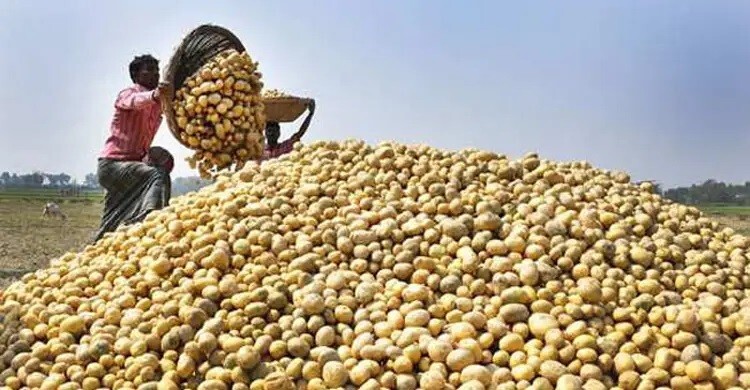 ভিয়েতনামে আলু রপ্তানির অনুমতি পেলো বাংলাদেশ