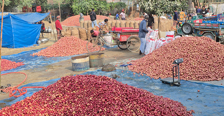 হিলিতে জমে উঠেছে আলুর হাট, দাম নিয়ে কৃষকের মিশ্র প্রতিক্রিয়া