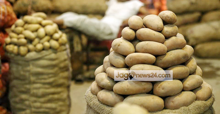 আলু মজুত করে বিপাকে কৃষক-ব্যবসায়ী