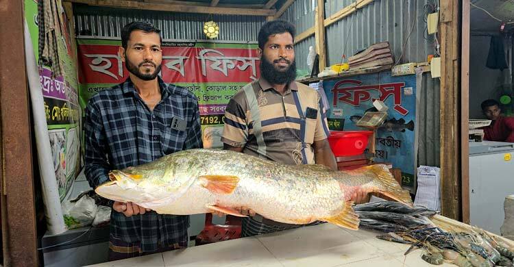 সাগরে জেলের জালে ২২ কেজির কোরাল, ৩৫ হাজারে বিক্রি