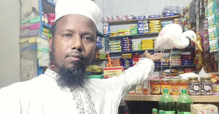 দুদিন পর আবার হেমায়েতের কাছে ফিরে এলো সেই বক