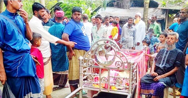 সাপে কামড়ানোর পর কবিরাজের ঝাড়ফুঁক, প্রাণ গেলো কৃষকের