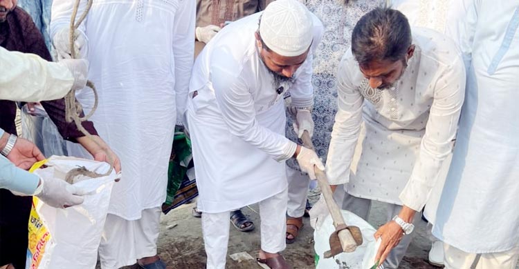 পশুর হাটের ময়লা নিজেই পরিষ্কার করলেন এমপি মাসুদ