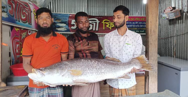 ২৪ কেজির কোরাল মাছ ৩৬ হাজারে বিক্রি
