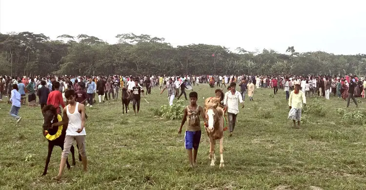 পহেলা বৈশাখে পটুয়াখালীতে ঘোড়দৌড়