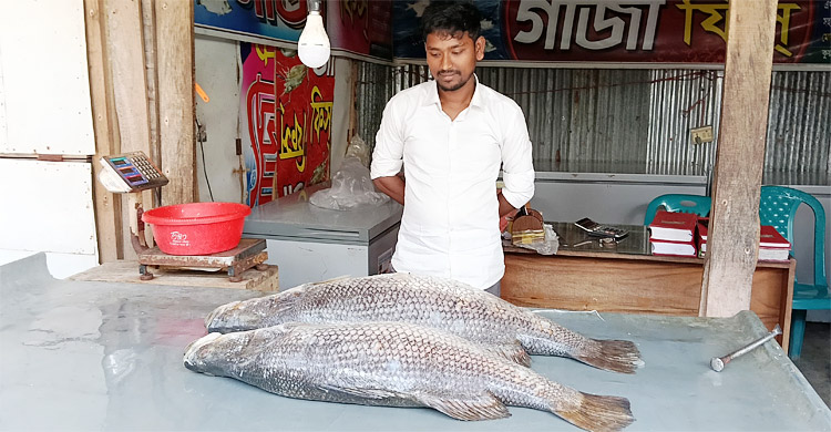 ২৭ কেজির কোরাল মাছ সাড়ে ৪০ হাজারে বিক্রি