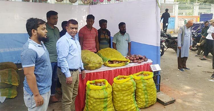 Potatoes selling at Tk 45 per kg in Rangpur