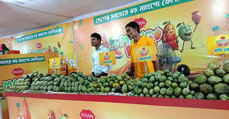 চলছে প্রাণ ম্যাংগো ফেস্ট, বাহারি আমের জমজমাট আয়োজন