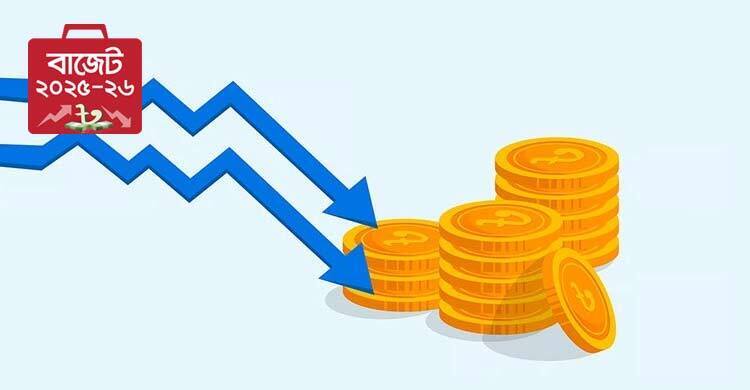 Budget 2025-26: Products with potential price reductions