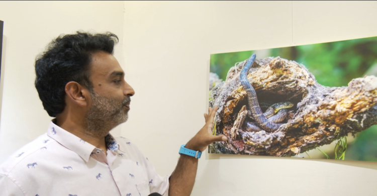 কিং কোবরার ছবি তোলার গল্প শোনালেন আলোকচিত্রী