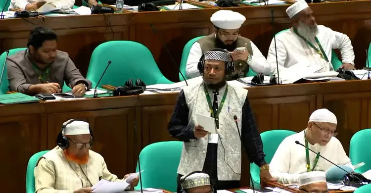 রাস্তা চওড়া ও মেডিকেল সচল রাখতে সংসদে আমির হামজার জোর দাবি