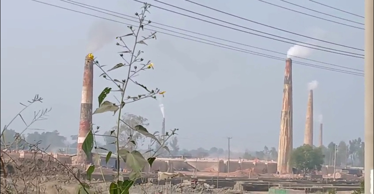 নাকের ডগায় ৩০০ অবৈধ ইটভাটা, জরিমানায় দায় সারছে প্রশাসন