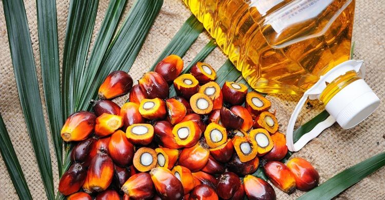 পাম অয়েলে রান্না খাবার খেলে শরীরে যা ঘটে