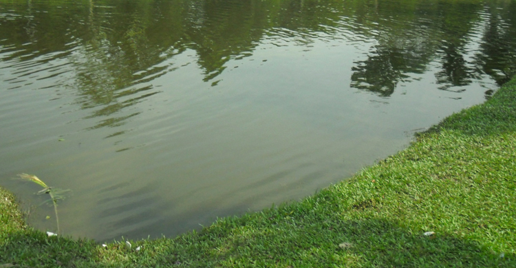 মাছ ধরতে গিয়ে নদীতে ডুবে শিশুর মৃত্যু