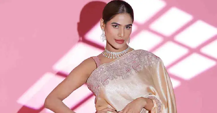 ‘যৌনকর্মের পেশা’ বৈধ হলে অপরাধ কমবে, দাবি পুনমের