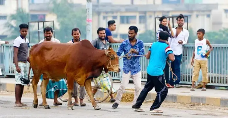 কোরবানির সুষ্ঠু ব্যবস্থাপনা নিশ্চিতে আন্তঃমন্ত্রণালয় কমিটি