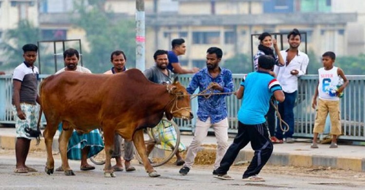 পশু কোরবানির জন্য ৩৫৭ স্থান নির্ধারণ করে দিলো ঢাকা দক্ষিণ সিটি