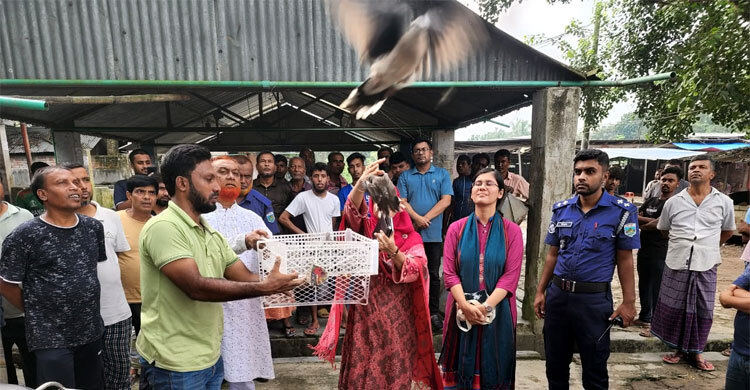 রাজশাহীতে ২০০ ঘুঘু উদ্ধার, দোকানির জরিমানা