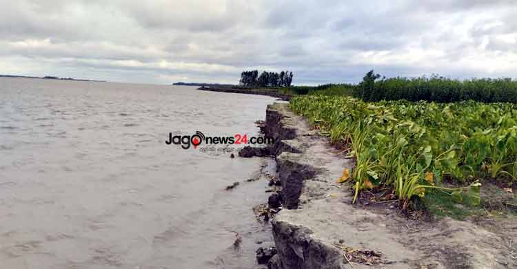 নদী ভাঙনে বিলীন হচ্ছে ফসলি জমি ও ঘরবাড়ি